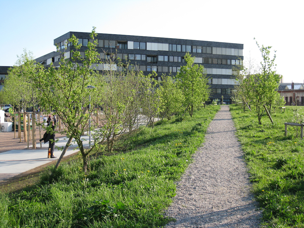 Erlenmattpark - Weg entlang der Hochmatt